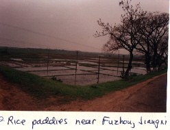 fuzho64.jpg - 24.18 K