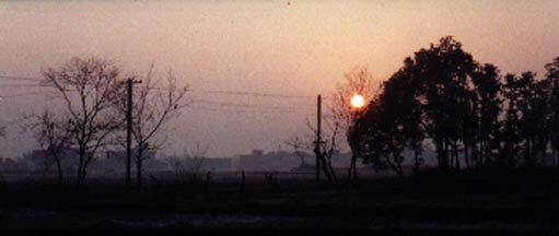 shngrcntry2.jpg (50425 bytes)
